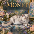MONET,  Calico Mitted Colourpoint Ragamuffin, Texas Ragdoll Kittens