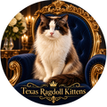 Regal Antonio Ragdoll Cat Die-Cut Sticker | Texas Ragdoll Kittens