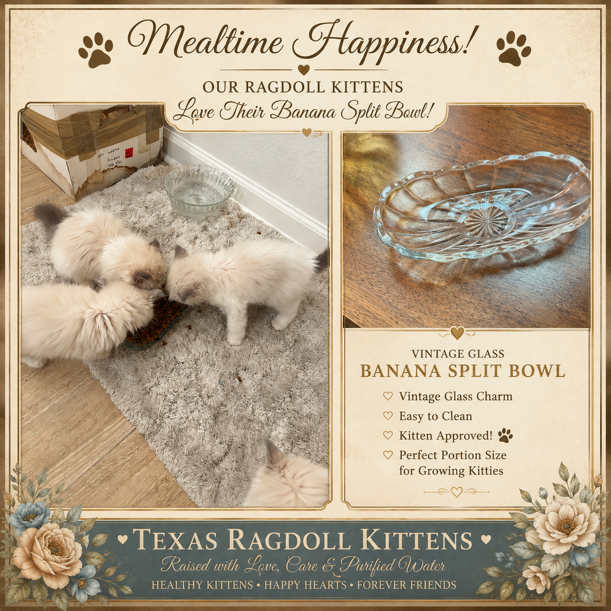 Banana Split Kitty Bowl